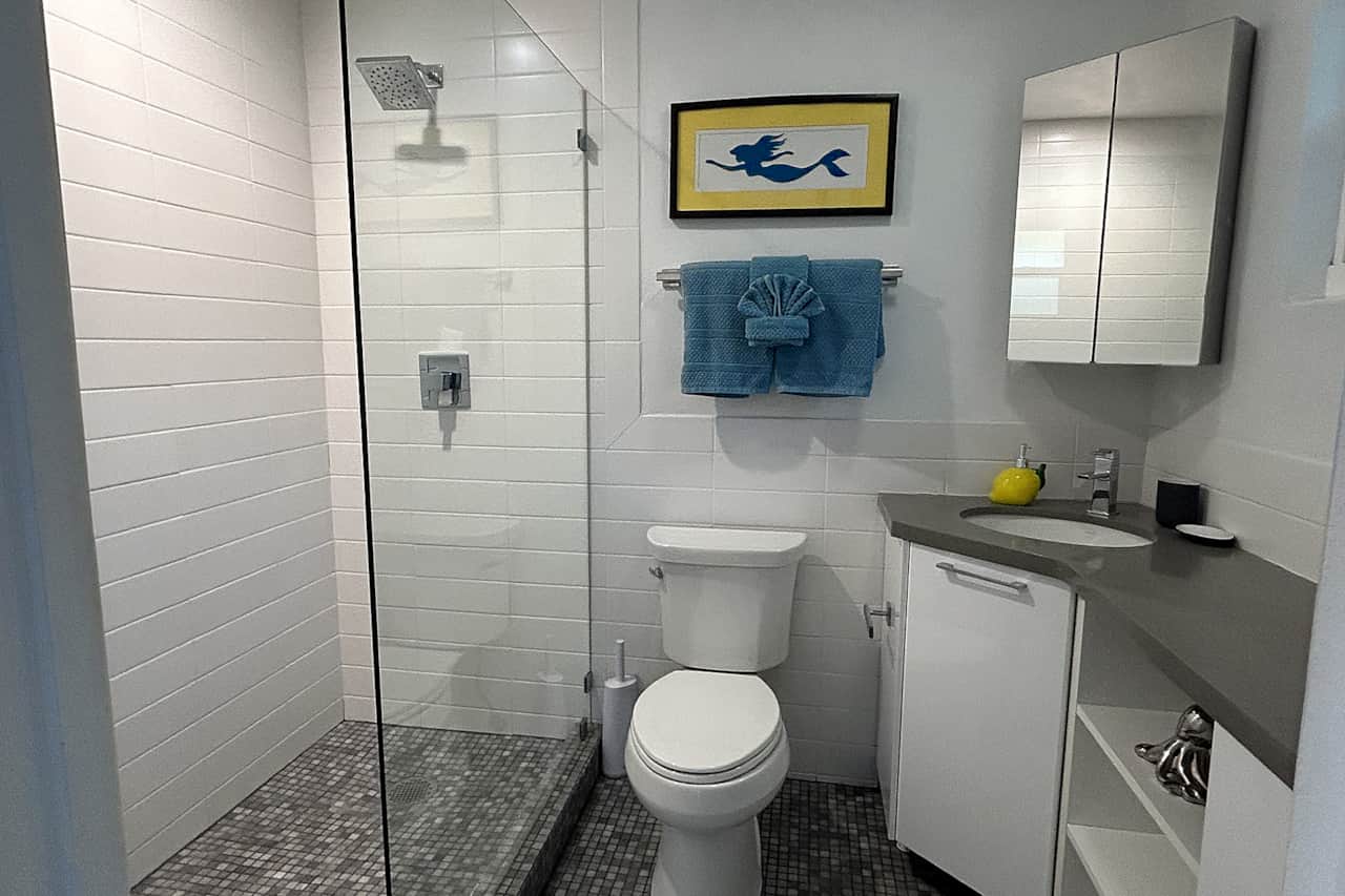 Unit #15 Spacious Bathroom with walk-in shower.