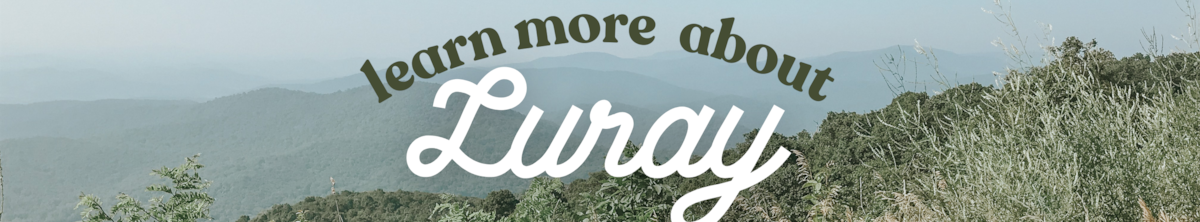 Why Visit Shenandoah National Park?
