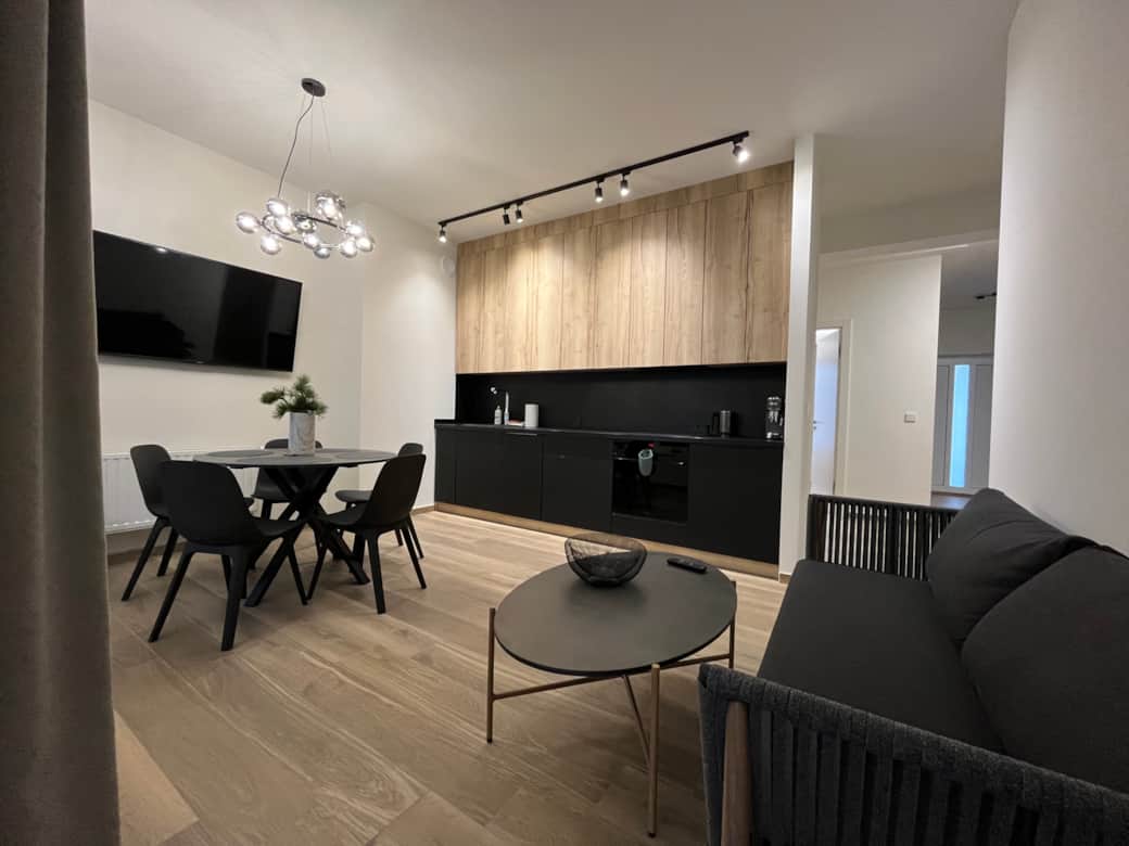 Kitchenette and living room Kitchenette and living room