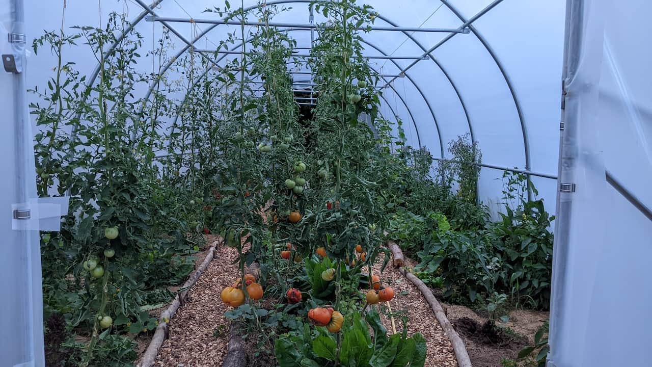 05 permaculture sous serre.jpg