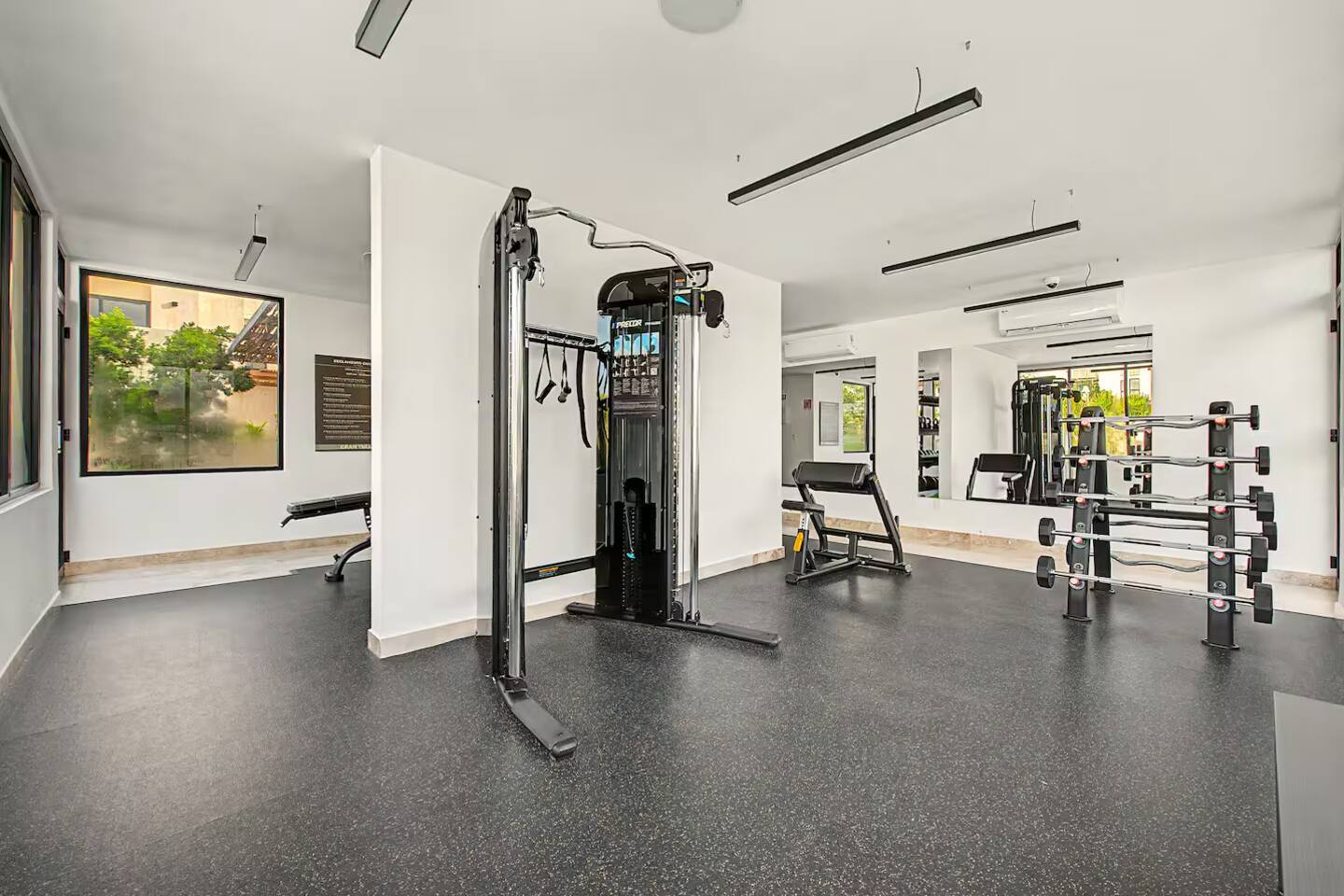 El gimnasio cuenta con equipo de fuerza y máquina de poleas, y también incluye caminadoras, 2 bicicletas fijas, mancuernas, pesas libres, pesas rusas, balones medicinales, bancos de pesas y costal de box con guantes para un entrenamiento completo.