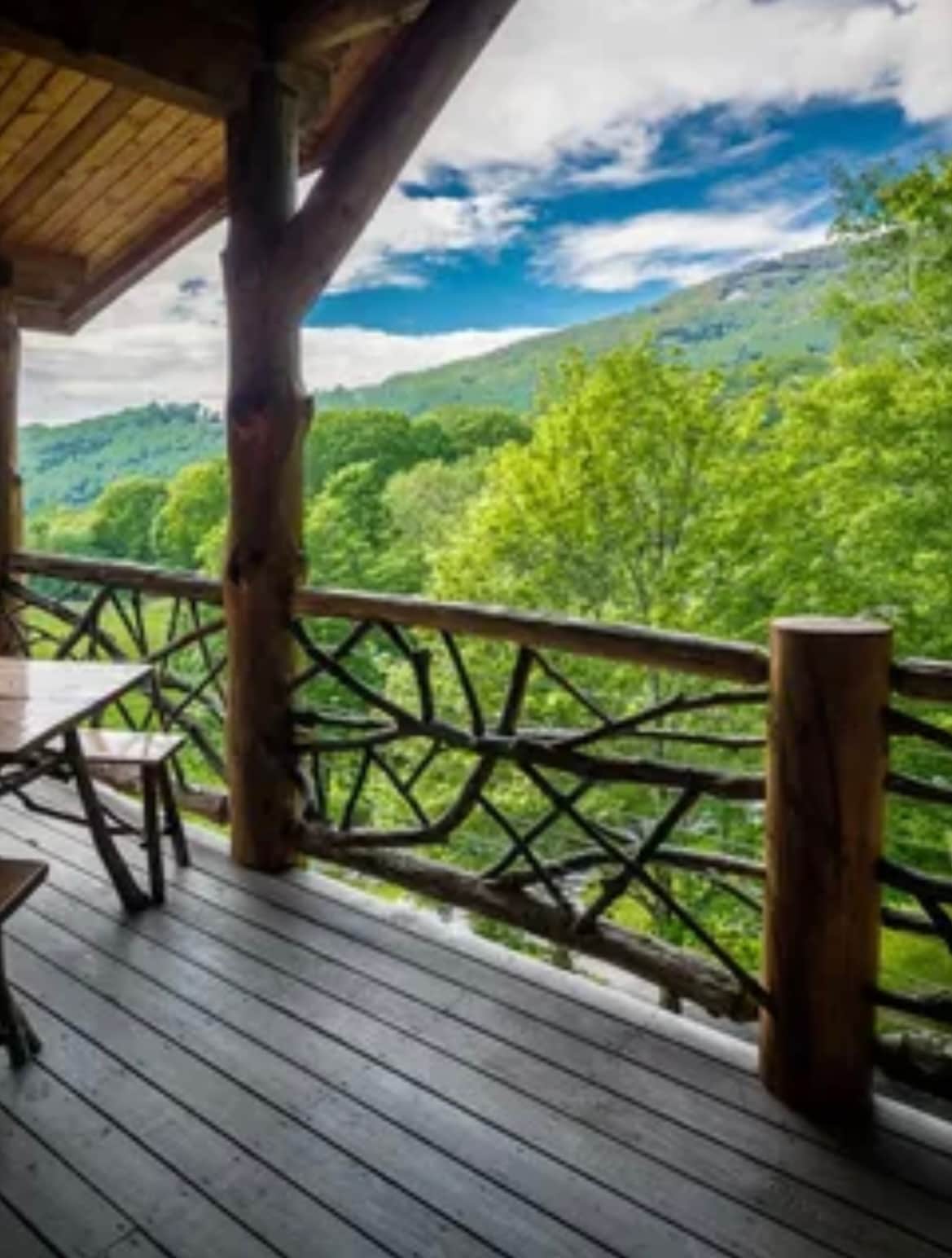 TreeHouse View of Eagles Nest