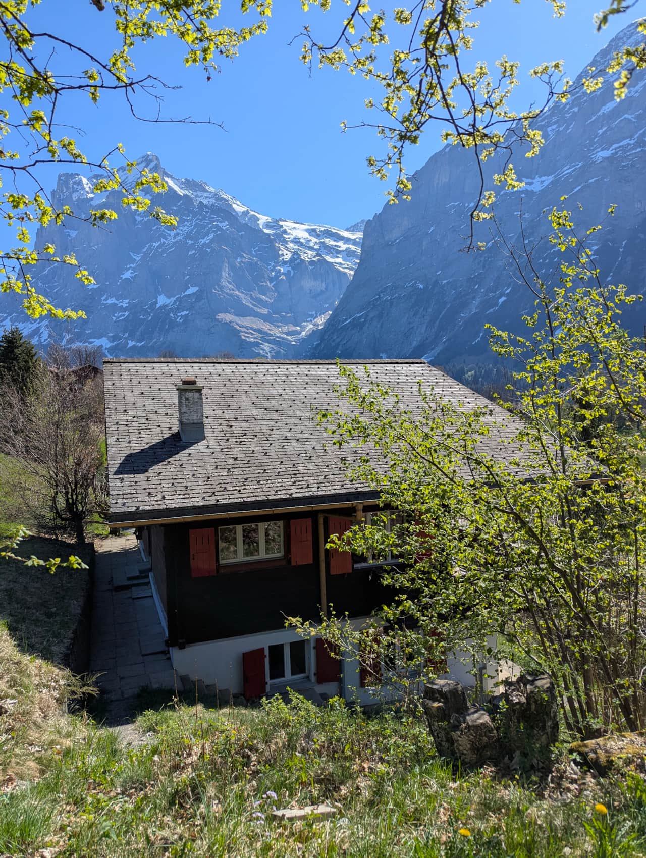 Chalet from garden