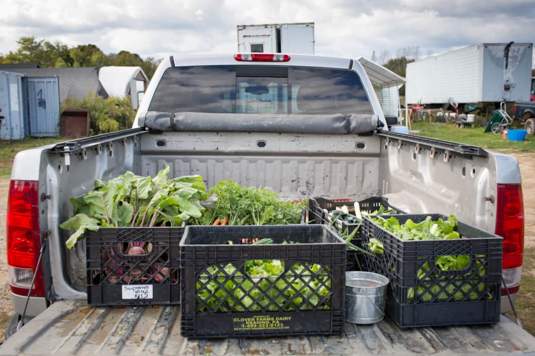 Farms and farm stands abound