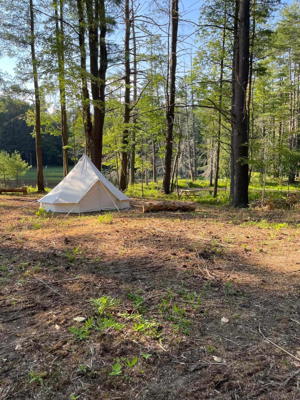 Tent securely closed for Privacy Tent securely closed for Privacy