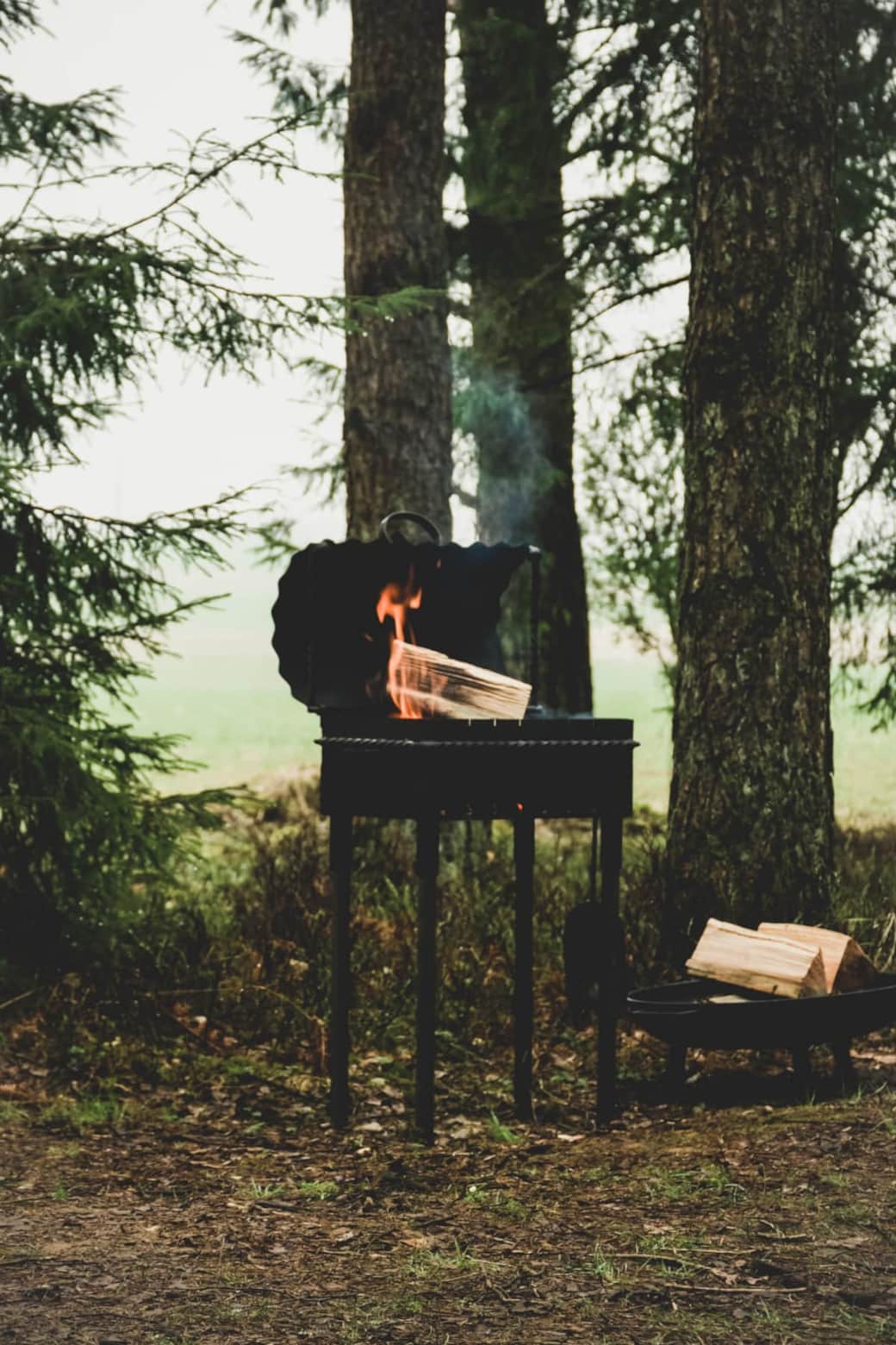 Forest therapy under the fir tree Forest therapy under the fir tree