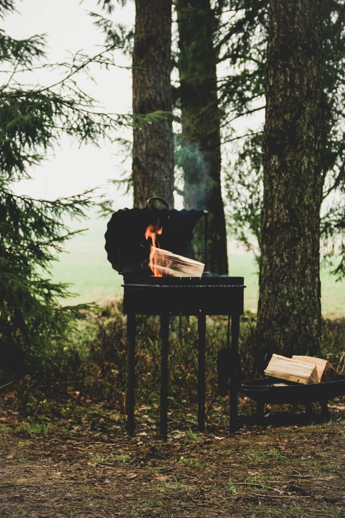 Forest therapy under the fir tree