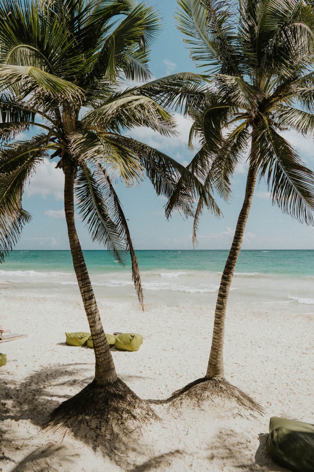 Loungers and daybeds and palmas for natural shade