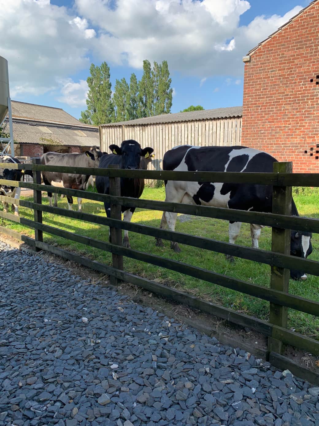 Side of the drive. Sometimes ladies will come for a nosey in the summer.