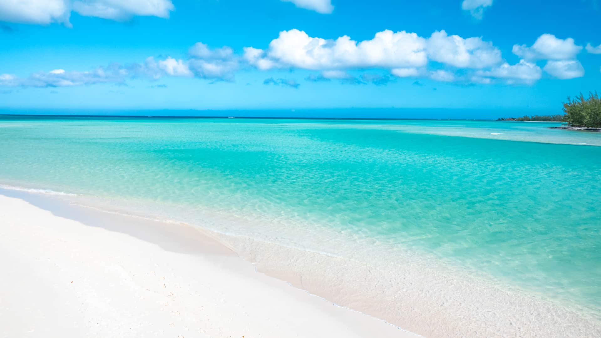 The Art of Relaxation in the Turks and Caicos while on Parrot Cay