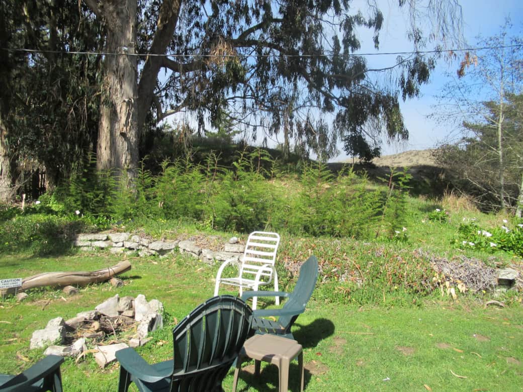 Sandy Clove Cottage backyard d