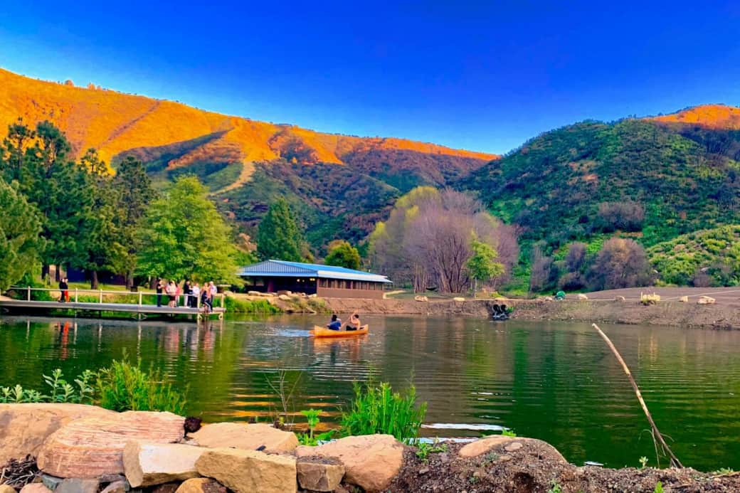 Swim in our natural spring fed lake and enjoy canoeing and other water activities.