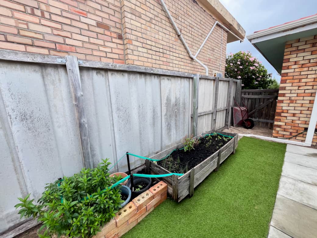 Smugglers Cove ever growing little herb garden 