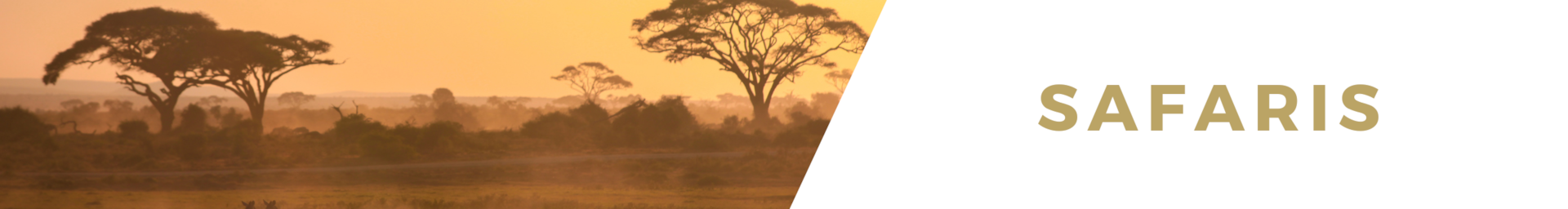 Safari luxury villa rentals