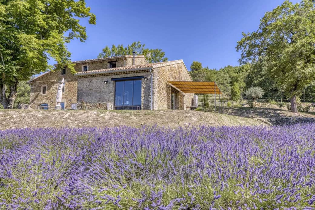 Vue des champs de lavande Vue des champs de lavande