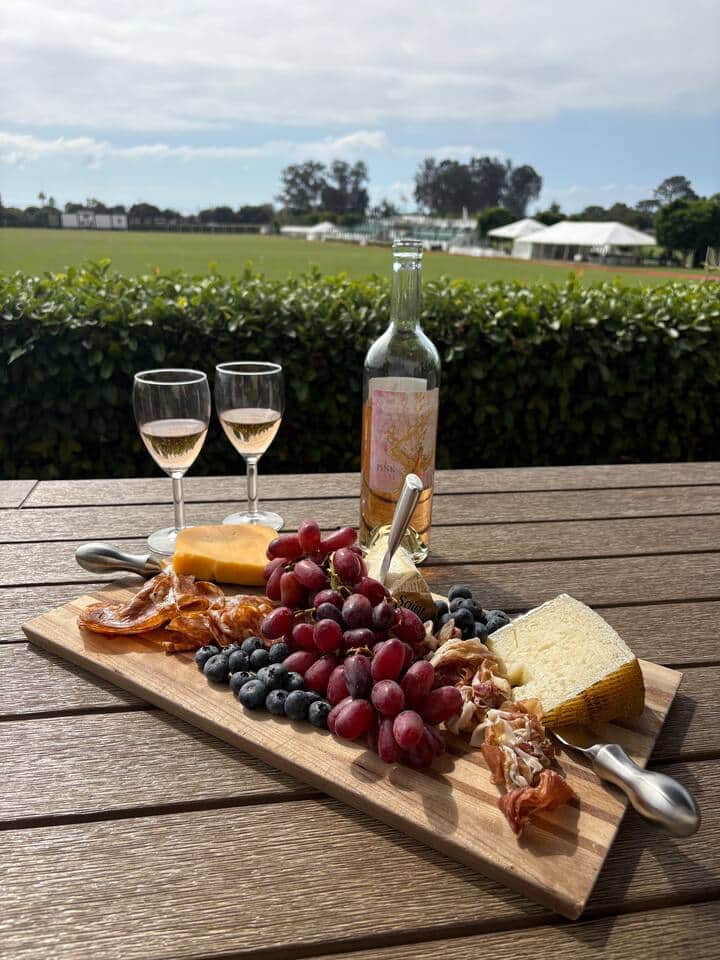 Enjoy the large patio with some wine and polo
