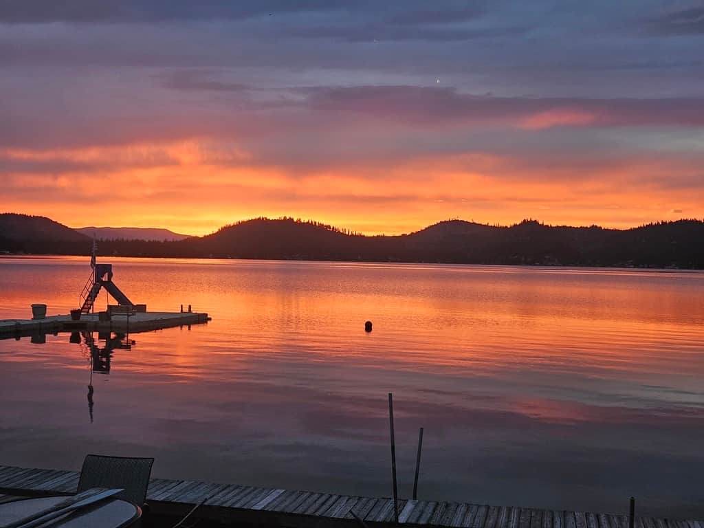 65E16991 ADFE 4588 9B9F 13D77DCBFC8E 1 105 c