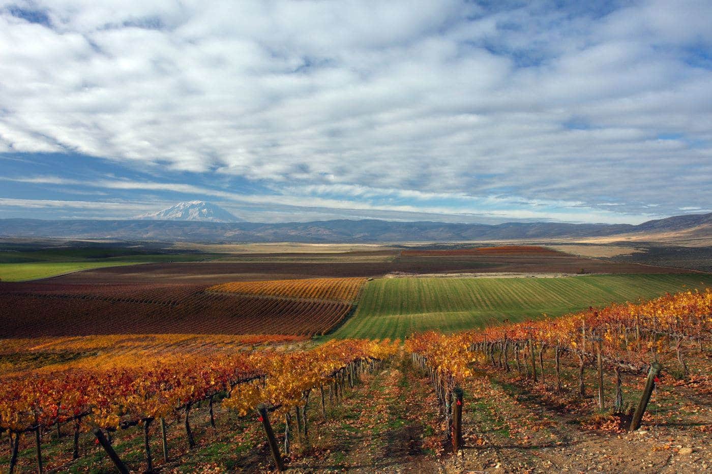 Yakima Pet Friendly Vacation Rentals