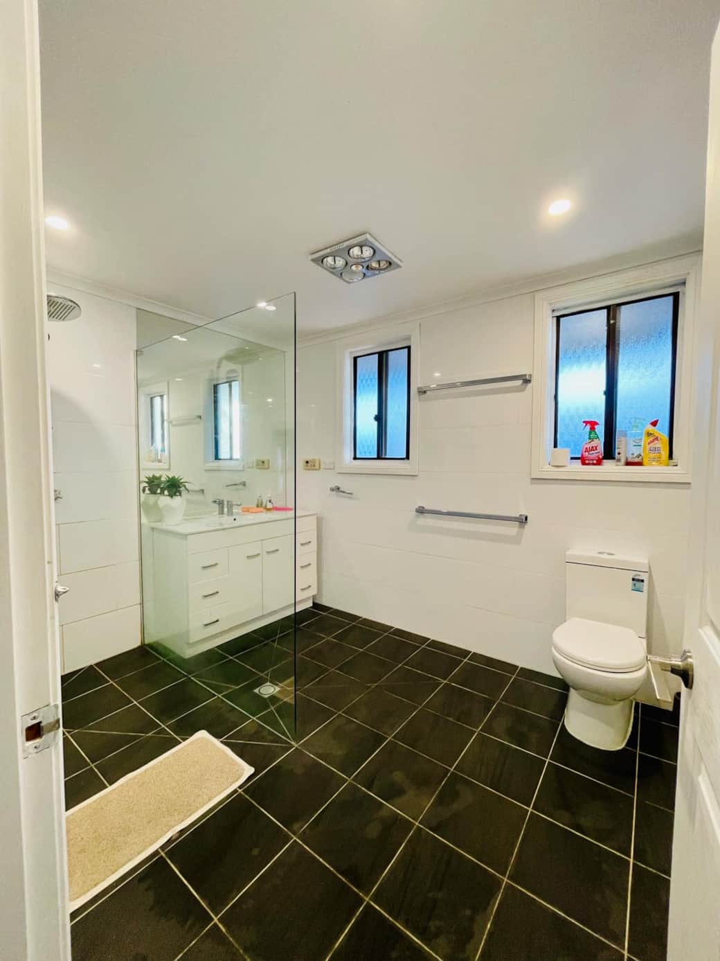 Toilet1