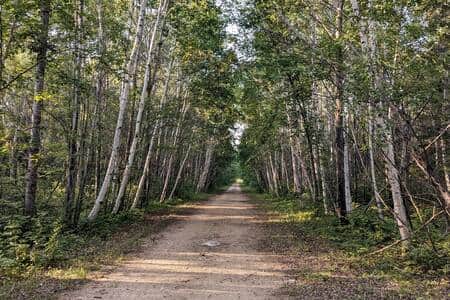 The cottage is located directly on the stunning Trans Canada Trail!
