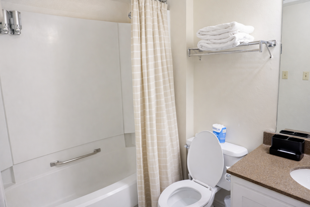 Downstairs Private Bathroom 