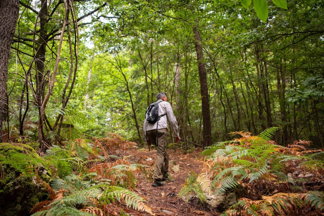 Une randonnée à deux pas de l'Écrin de Saint Léo