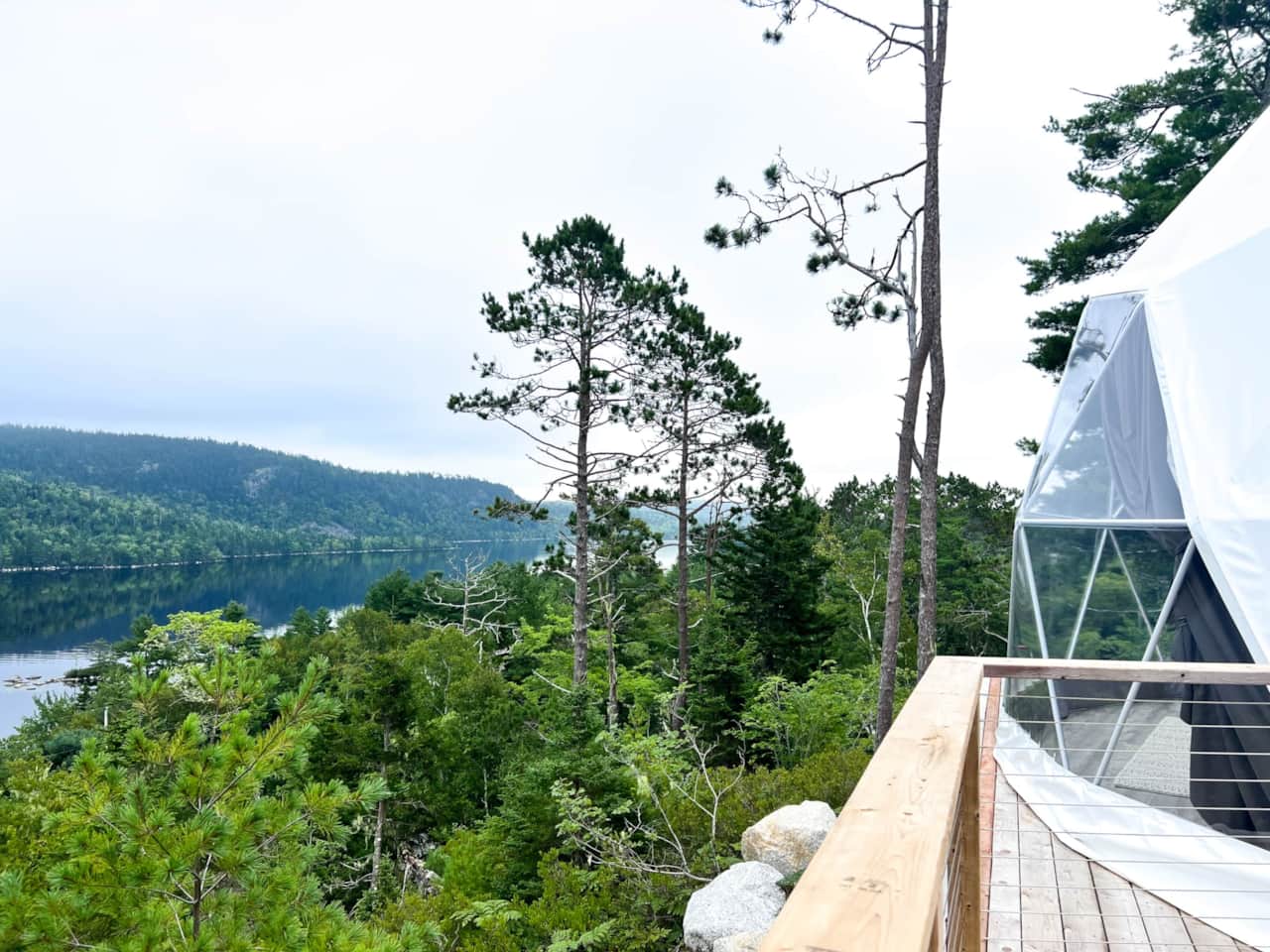 Dome 2 