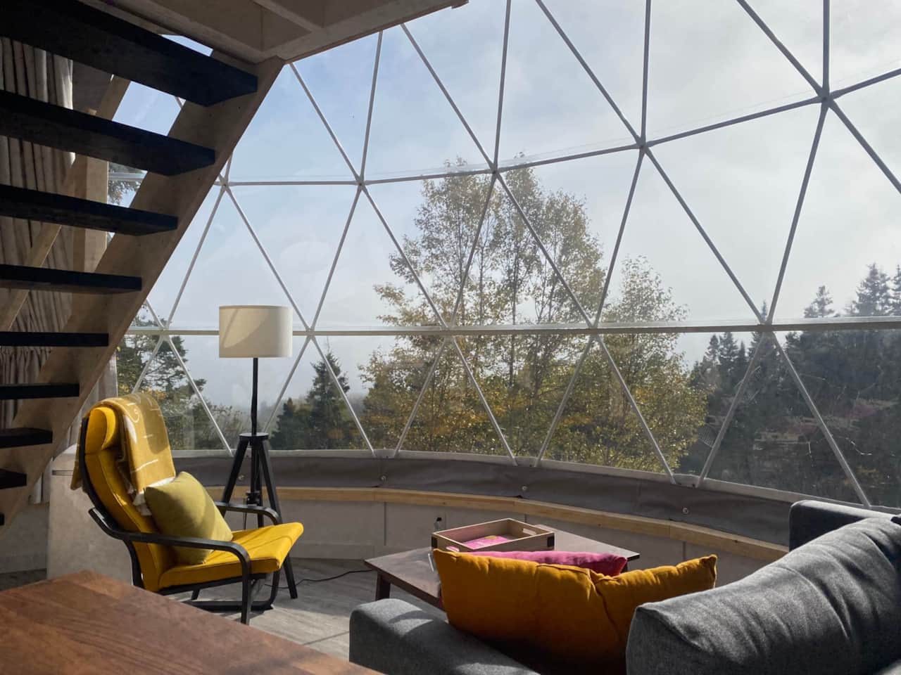 Our domes offer a beautiful living space immersed in nature