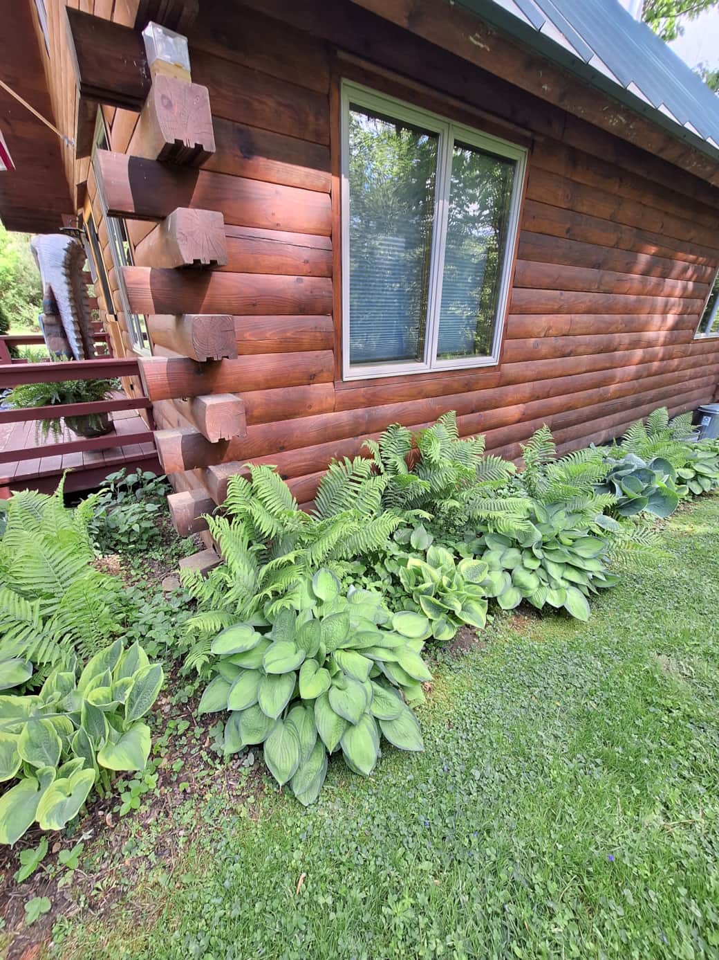 Spring Cabin 2