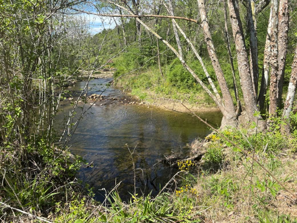 IMG 0802