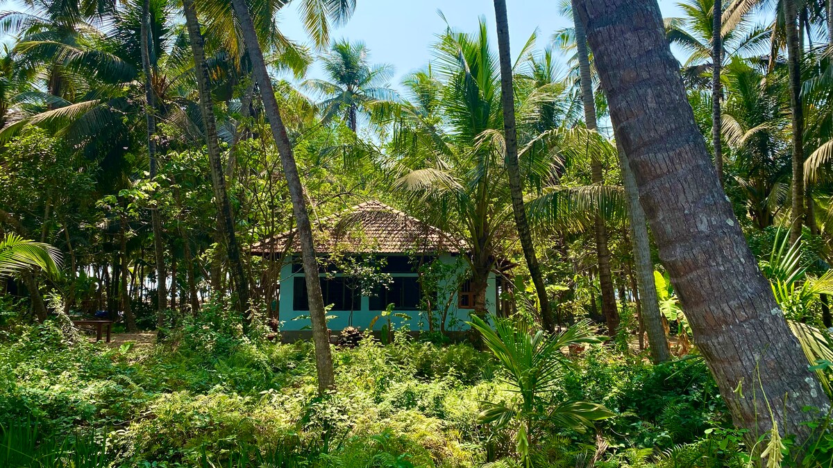 The Peacock House - Island Retreat, photo 29