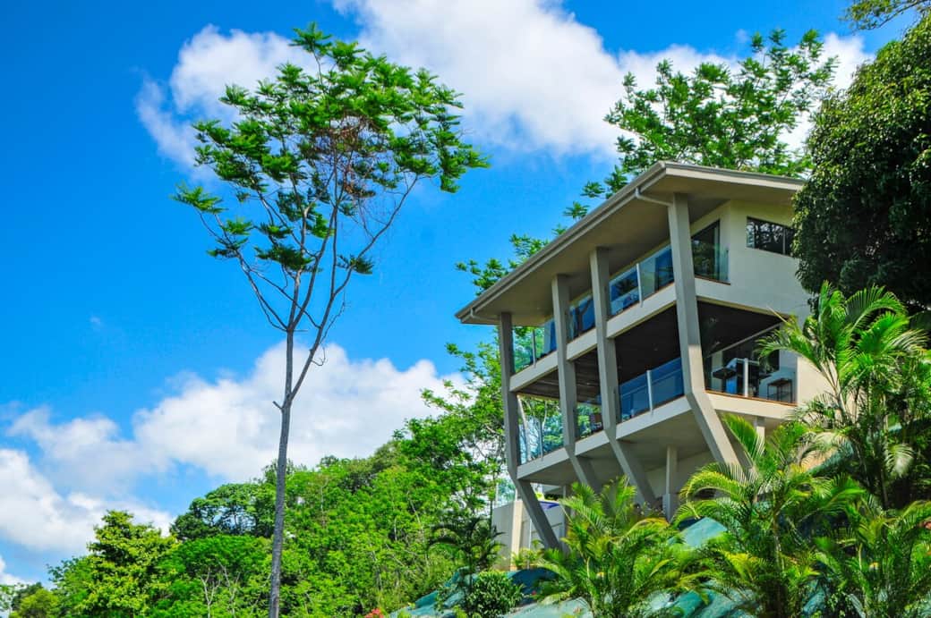 Perched over the Jungle