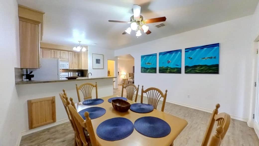 433 W San Antonio St Bluebonnet 09052024 121024 433 W San Antonio St Bluebonnet 09052024 121024