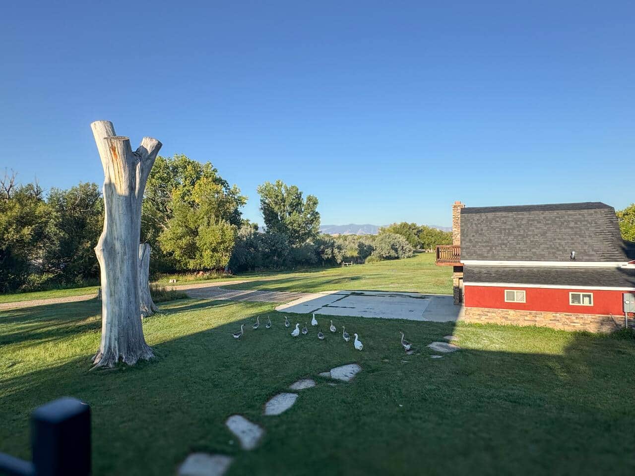 Bondline Home living room