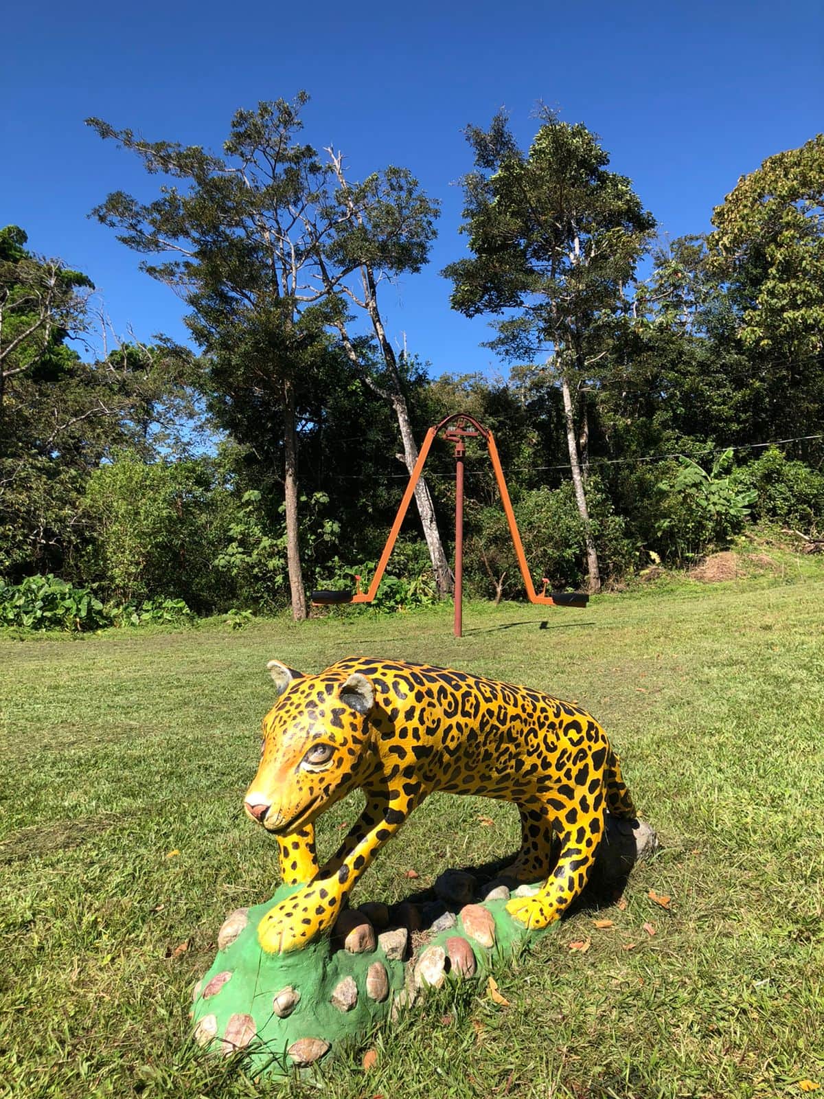 Fun for all ages! Enjoy our seesaw game in a safe, green space surrounded by trees.