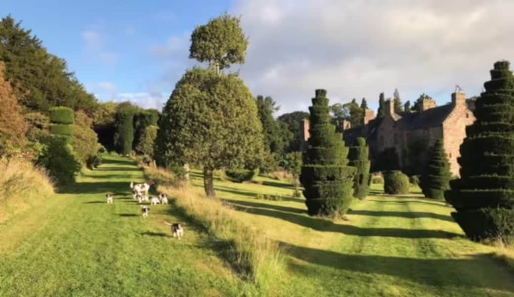 Explore the gardens and enjoy walks around the estate and local area. Dogs welcome, do keep them und Explore the gardens and enjoy walks around the estate and local area. Dogs welcome, do keep them und