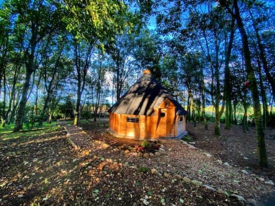 Tranquil woodland setting