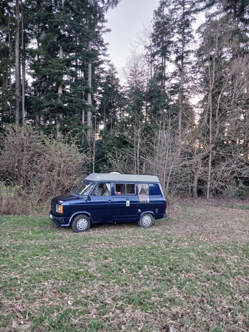 Stellplatz am Waldrand 