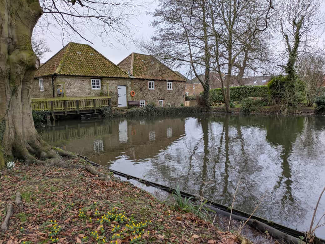The Mill Pond