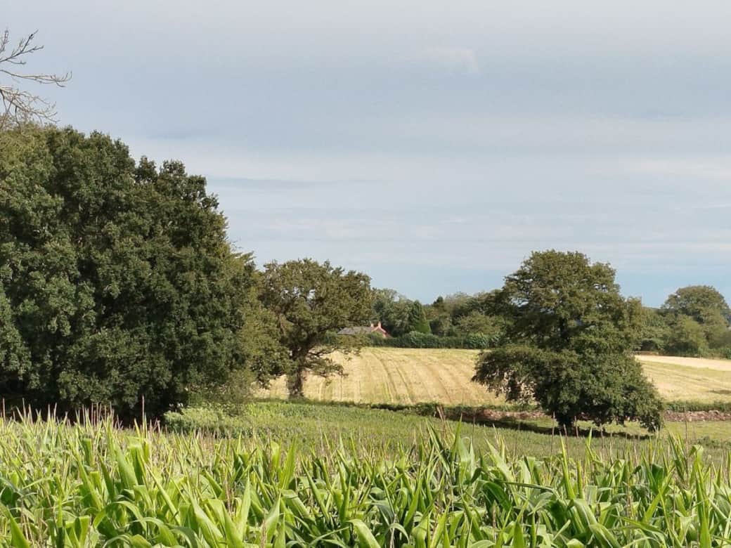 Nature sauvage autour du gîte – Immersion totale