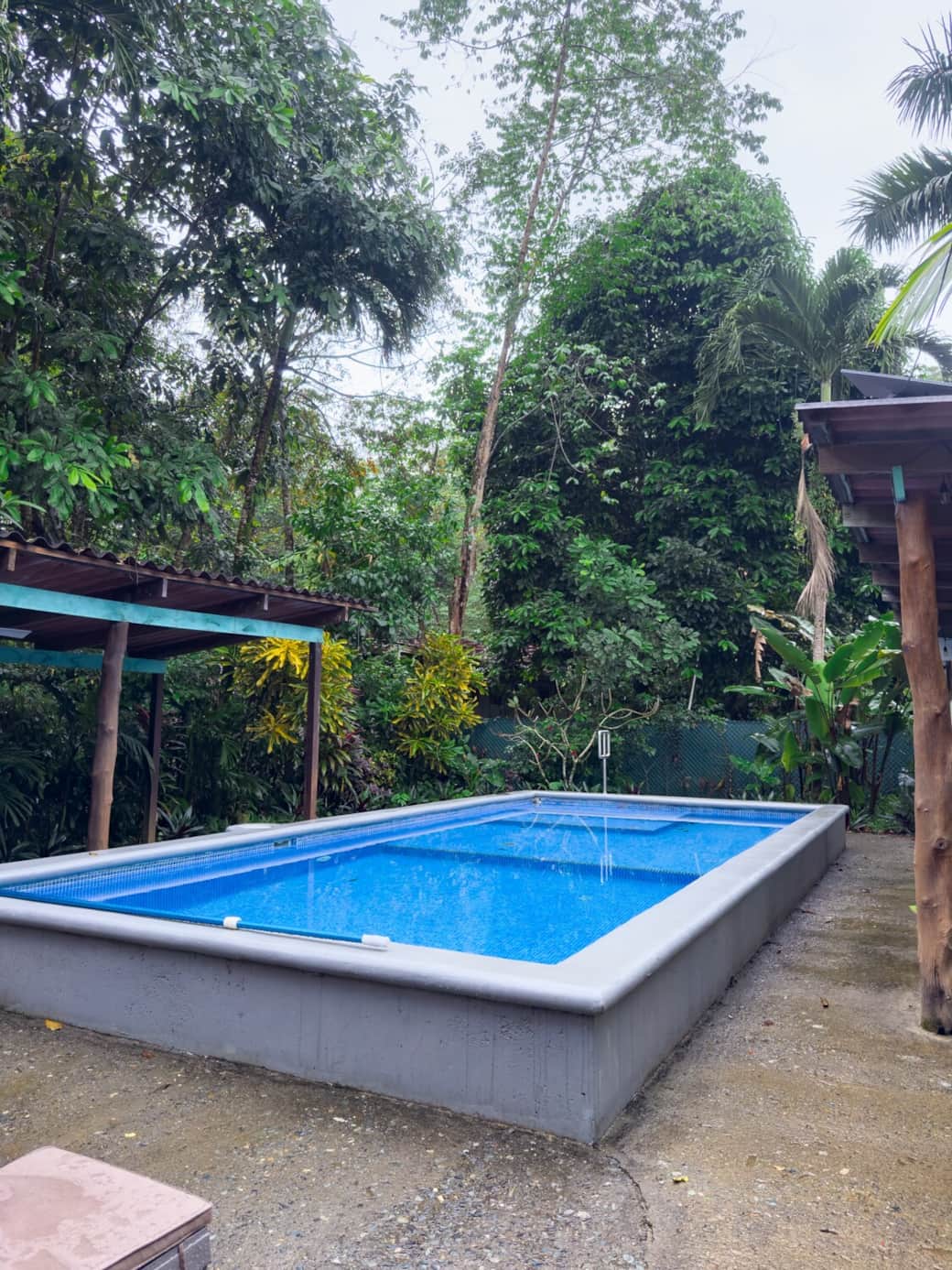 Secluded pool retreat immersed in tropical rainforest. Listen to birds and wildlife while enjoying a refreshing swim in this private guest-only pool.
