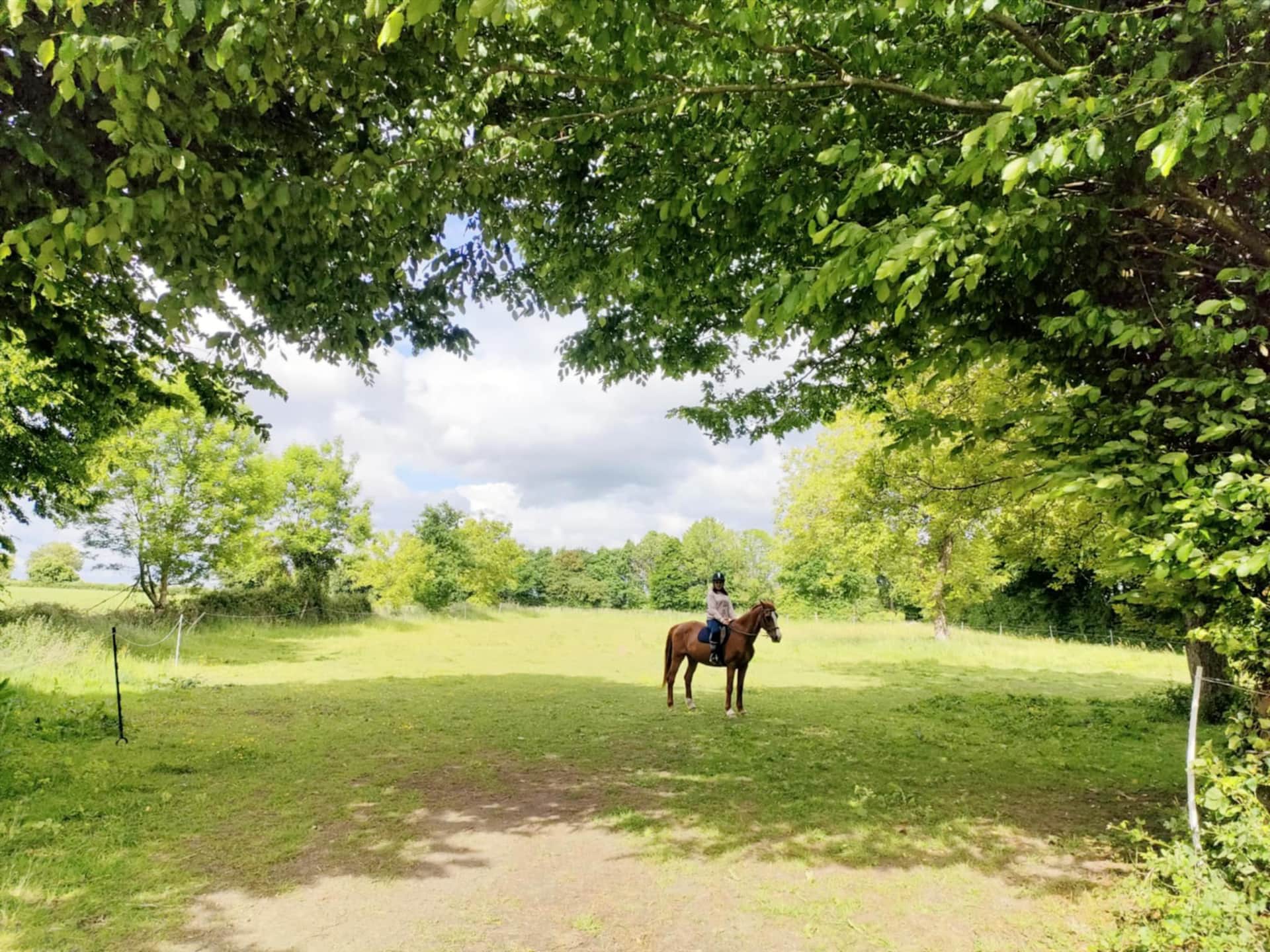 INITIATION MONDE EQUIN