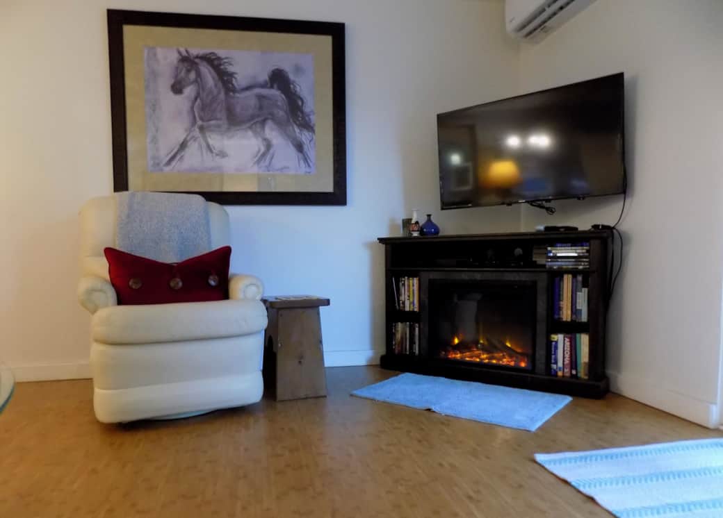 (30)TV and Fireplace