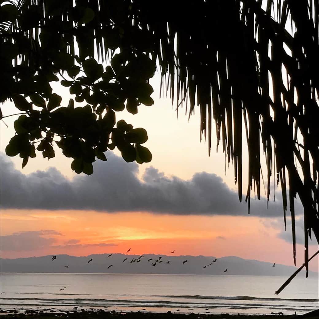 Sunrise over the bay