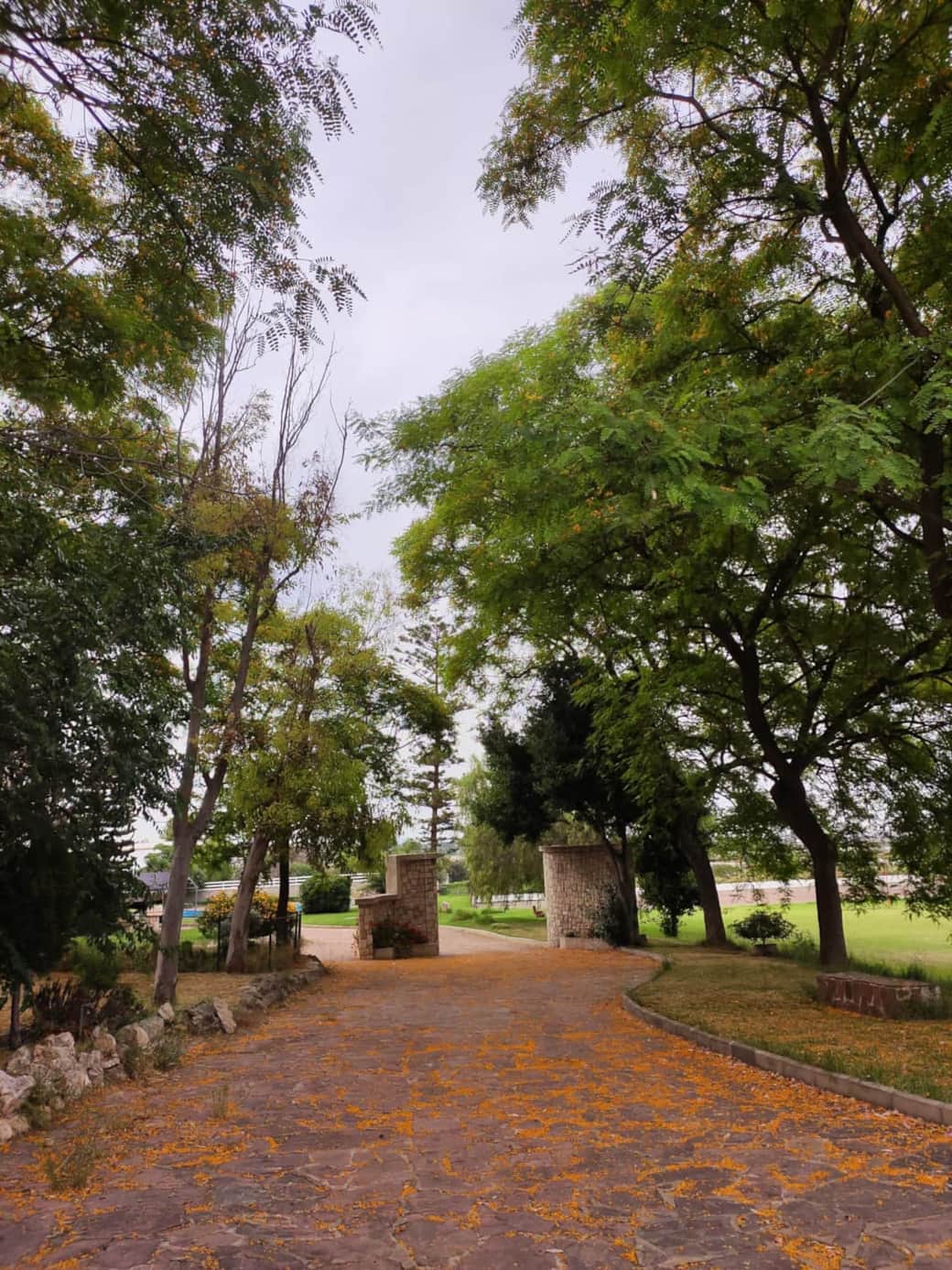 entrada 