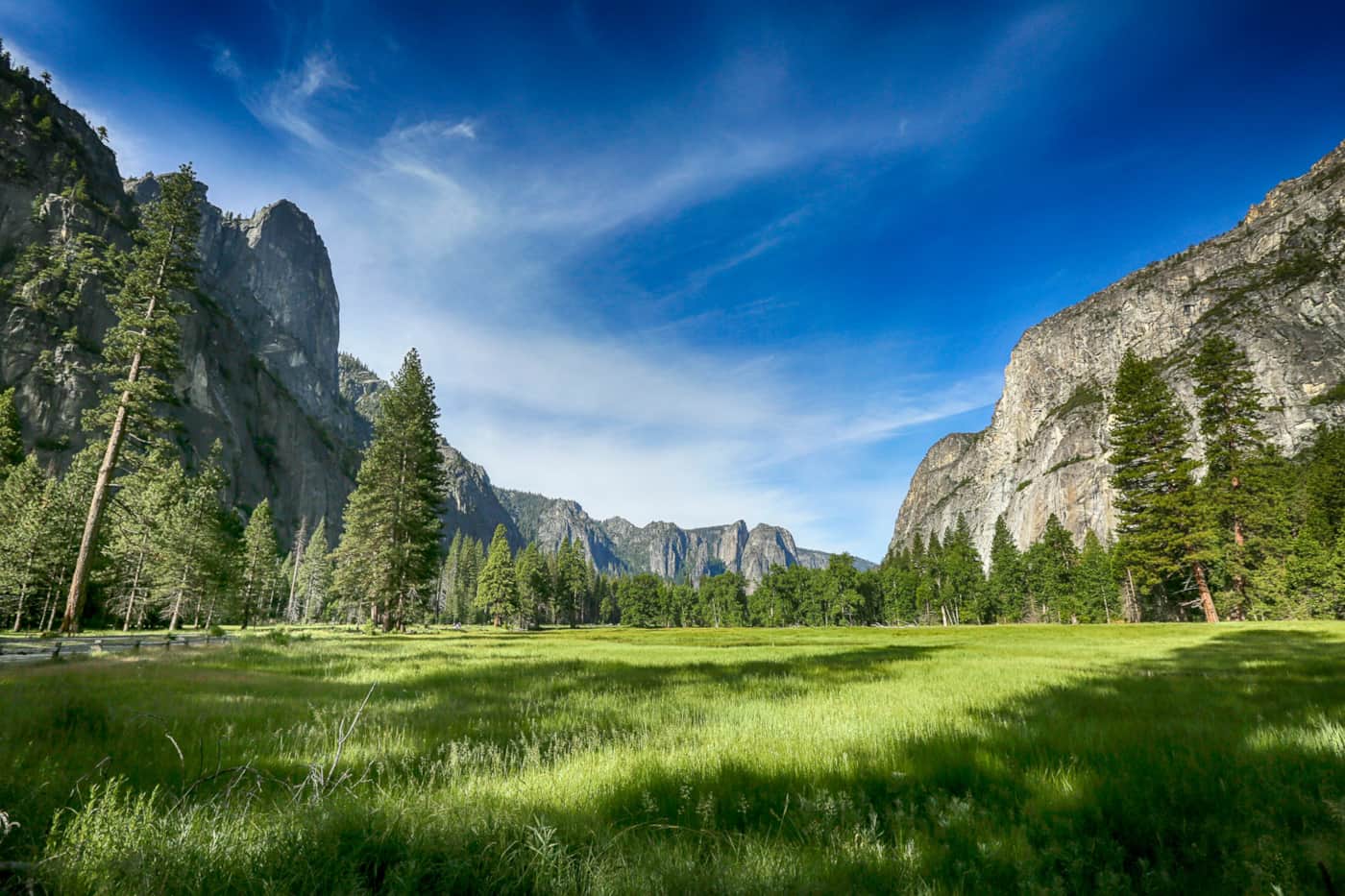 Meadow on the Yosemite Valley floor surrounded by granite cliffs