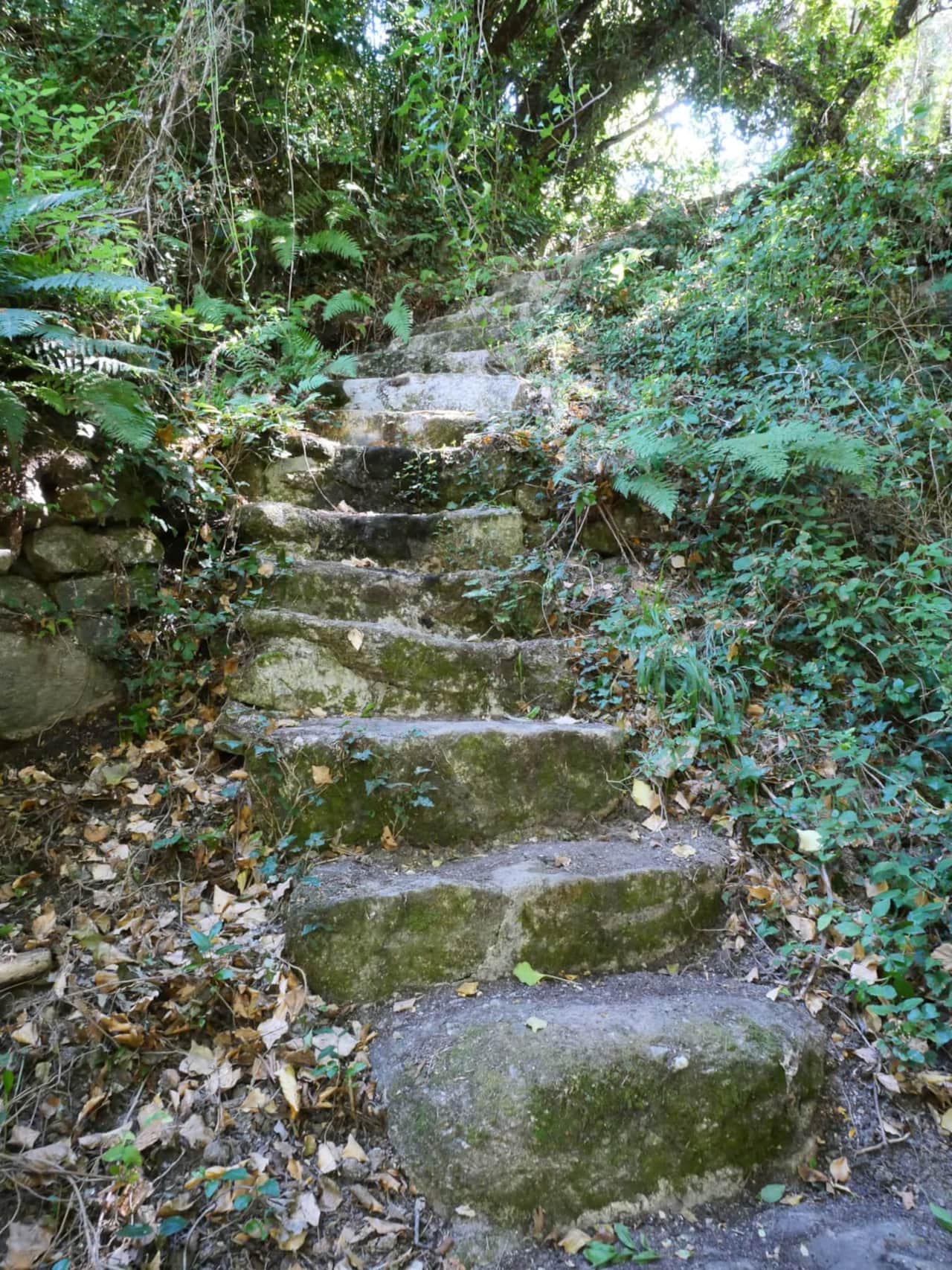 Route naar de rivier
