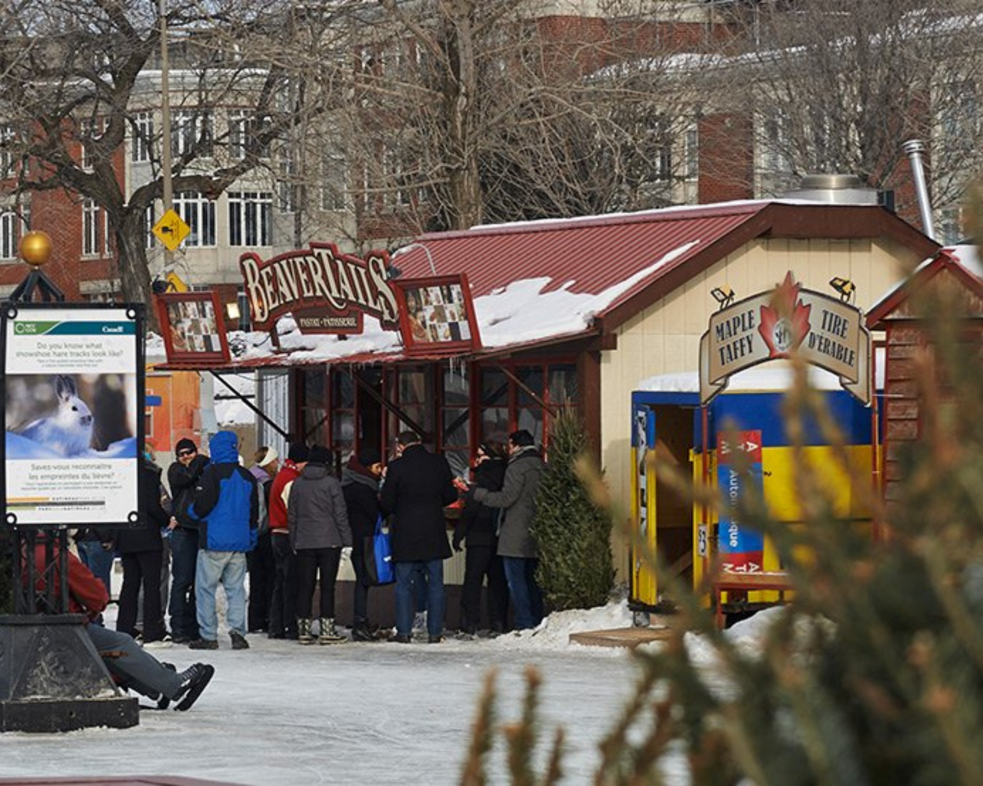 Cinq Activites A Faire Pendant Bal De Neige