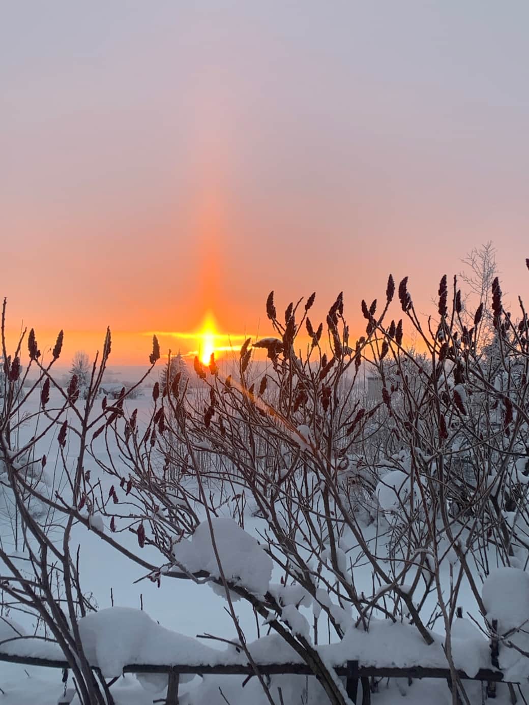 Winter sunrise in near equilibrium with view from mezzanine 