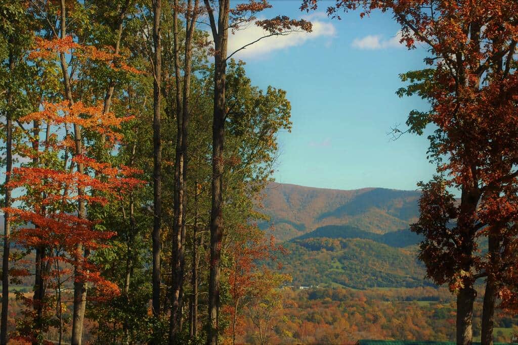 Views from cabin are AMAZING! Views from cabin are AMAZING!